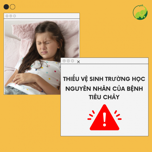 Thiếu Vệ Sinh Trường Học, Nguyên Nhân Của Bệnh Tiêu Chảy